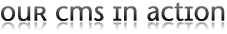 .net cms video demo